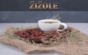 Žižole